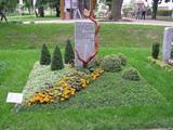 Ася (44)